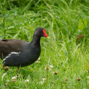 Untitled (120 Of 153).jpg